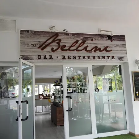 Atico Puerto Banus